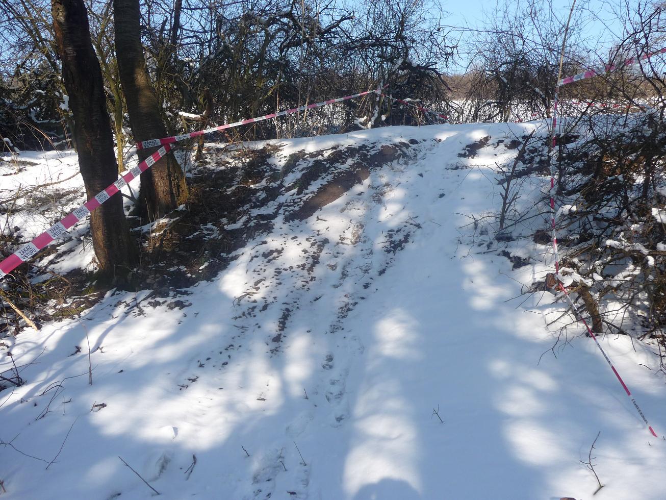 P1010418.JPG