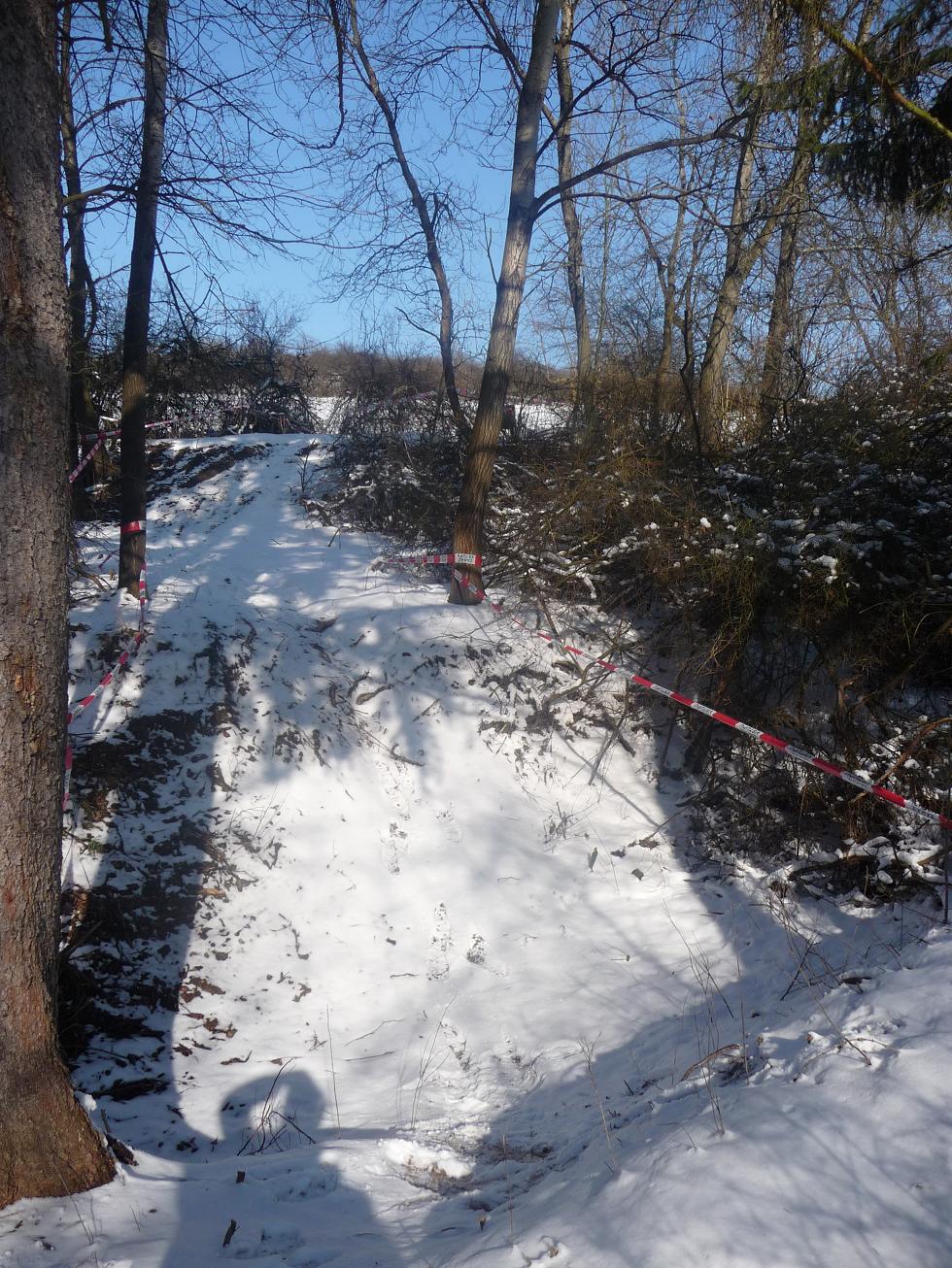 P1010420.JPG