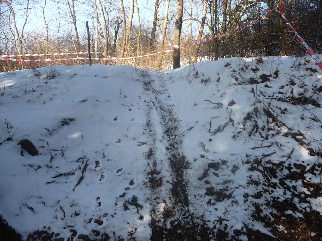 P1010422.JPG