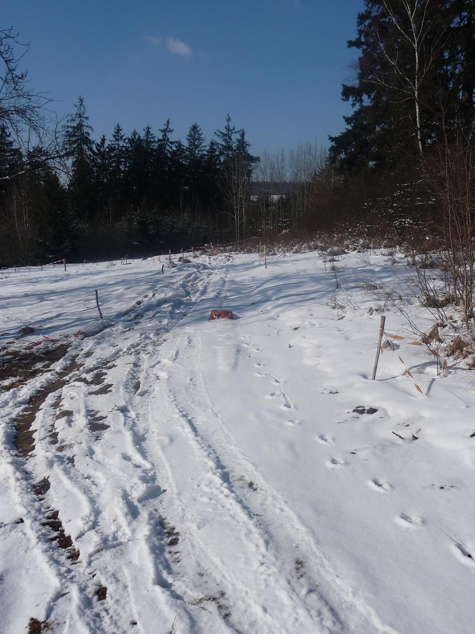 P1010424.JPG