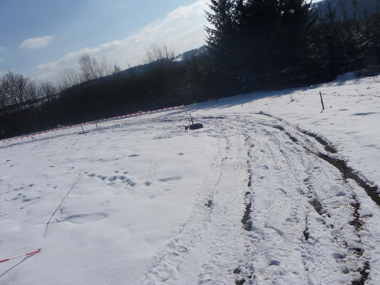 P1010431.JPG