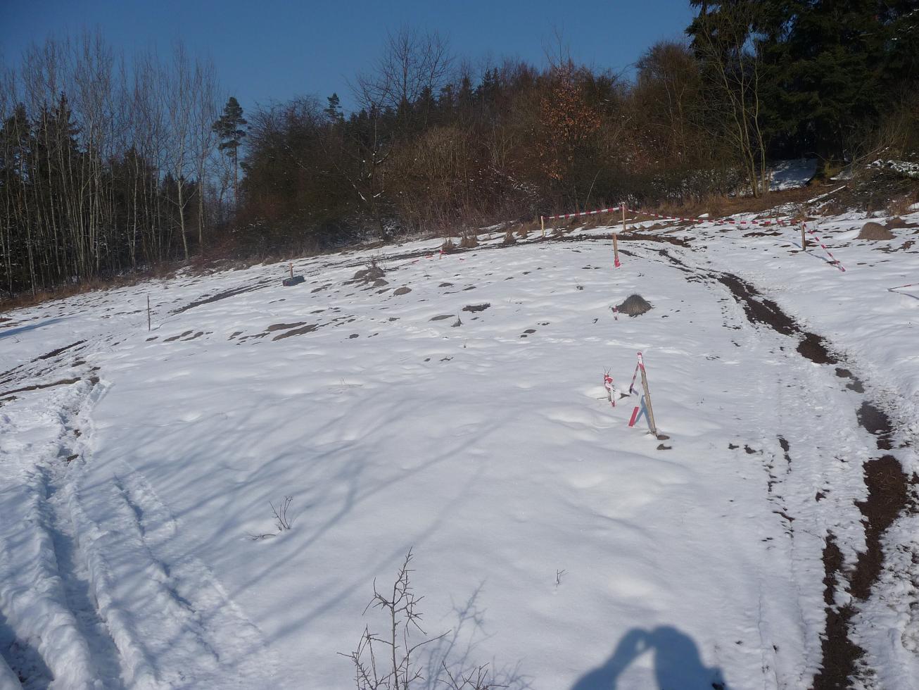 P1010435.JPG