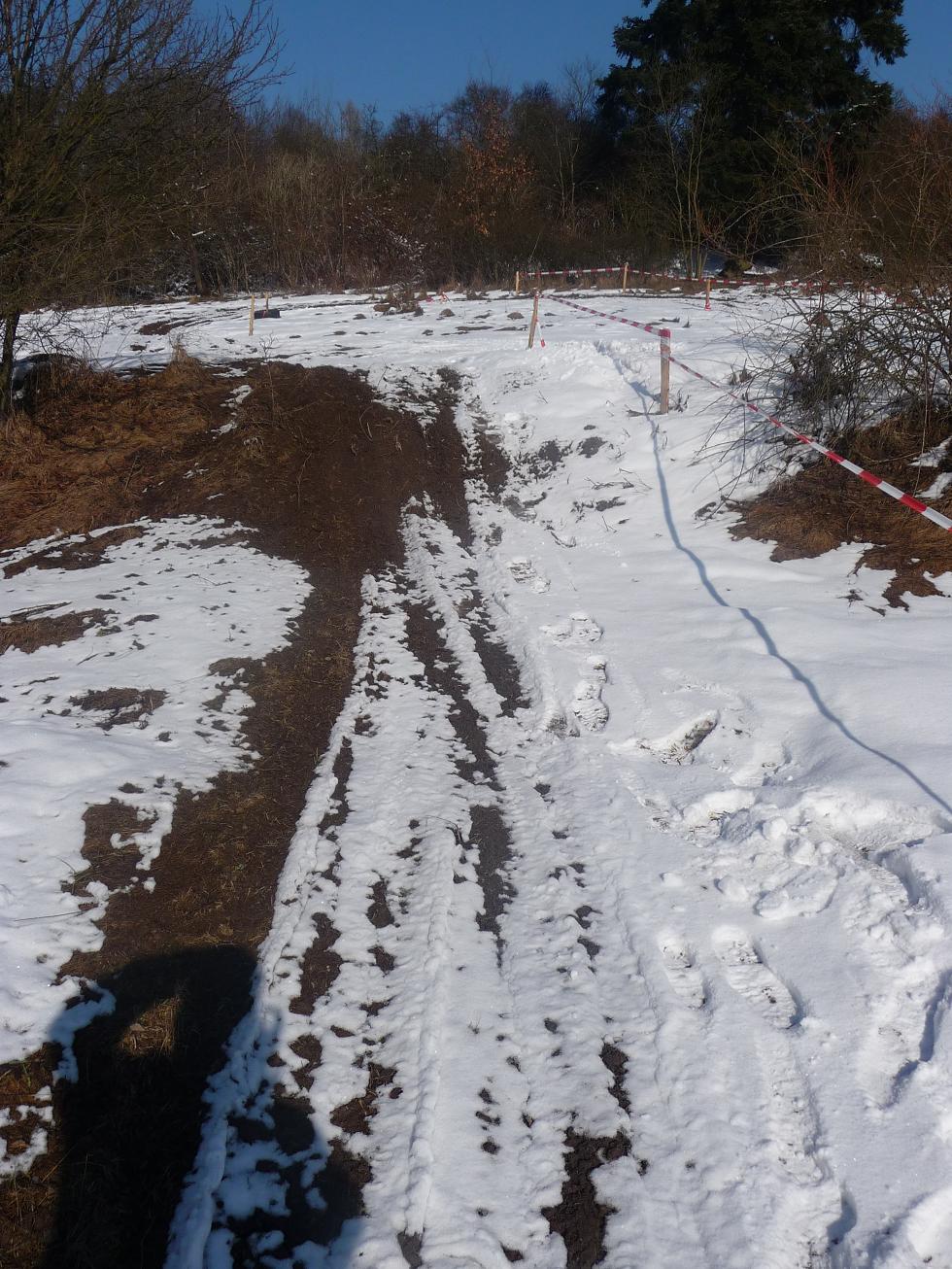 P1010437.JPG