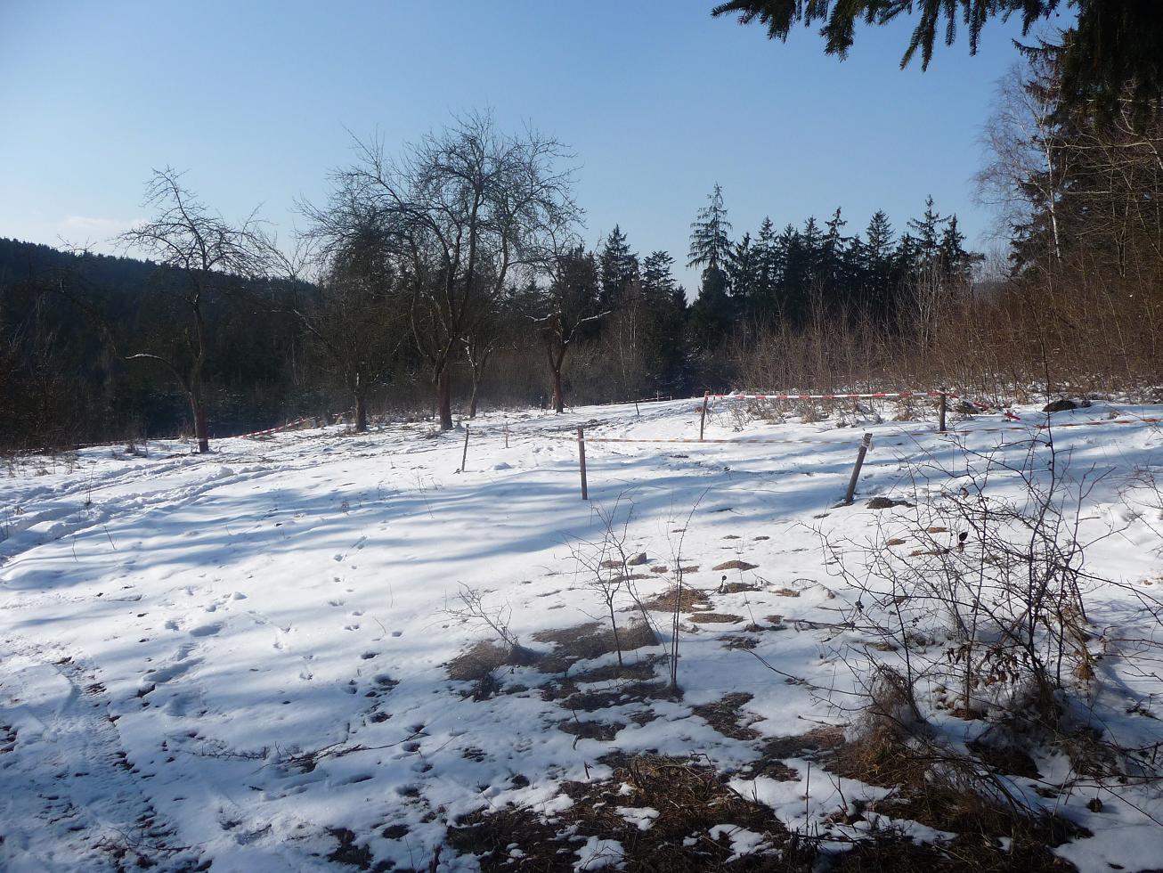 P1010460.JPG