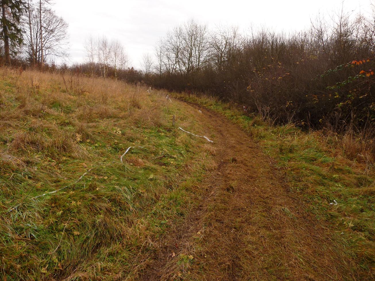 P1030446.JPG