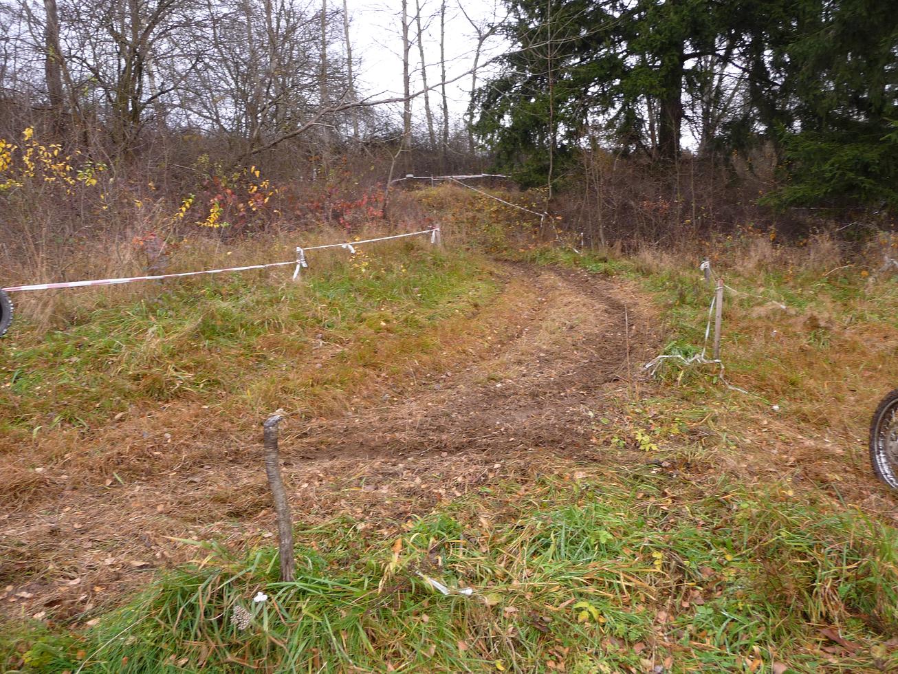 P1030434.JPG