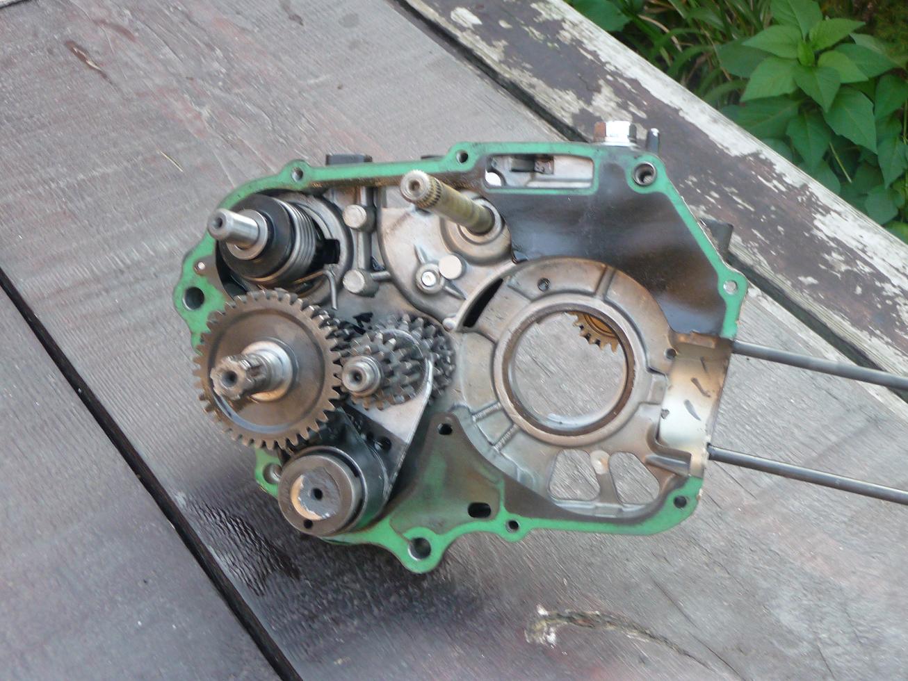 P1010061.JPG
